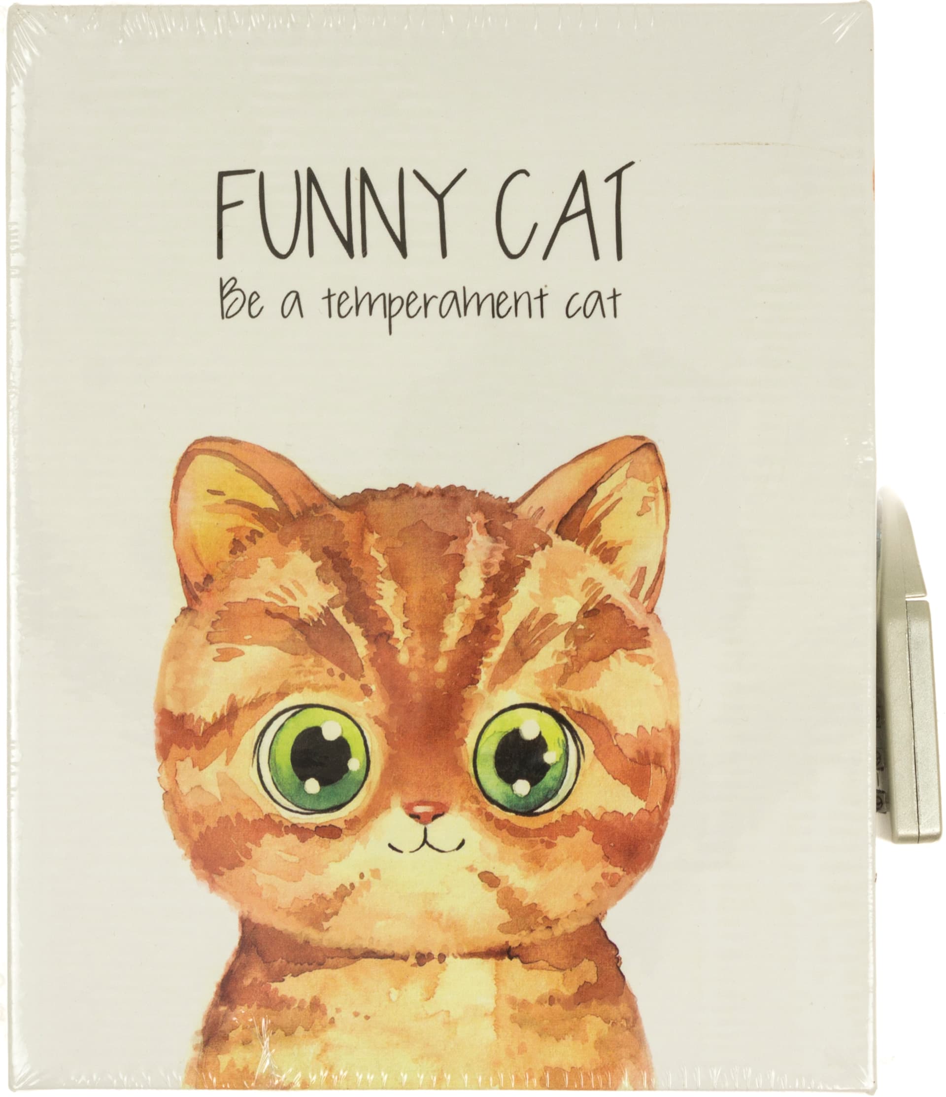 Блокнот на замке Funny cat A6 64 листа в коробке (96) DSCN4091