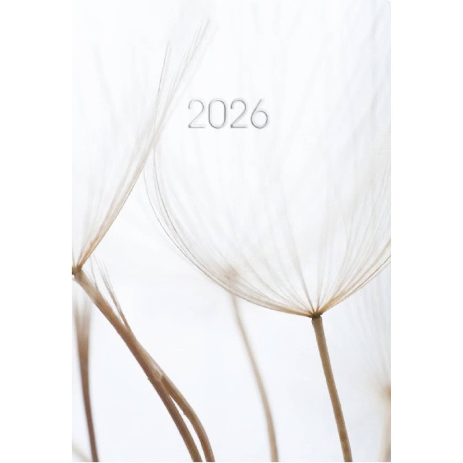 Щоден. А5 "Economix" дат2026 №E21871(20)