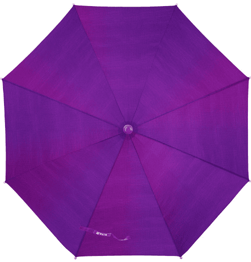 Зонт детский "Kite" фиолетовый хамелеон №K24-2001-1(12)