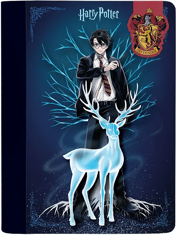Блокнот А5 60л. клет. тв. обл. Harry Potter с магнитной закладкой №HP25-192/Kite/(20)(40)