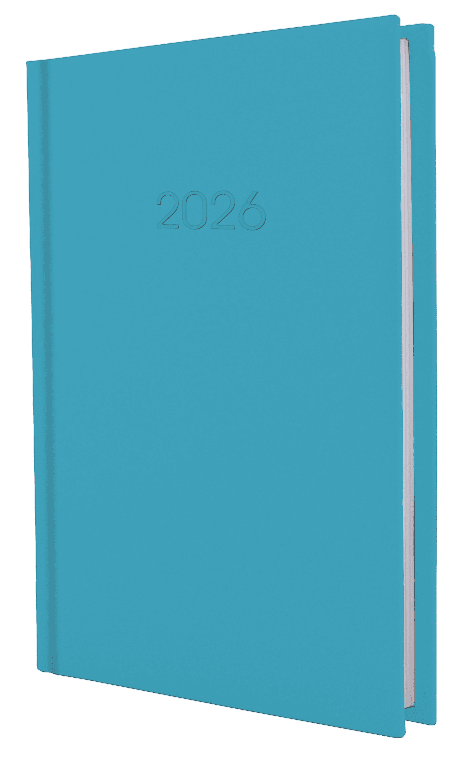 Щоден. А5 "Economix" дат2026 Satin синій №E21612-02(20)