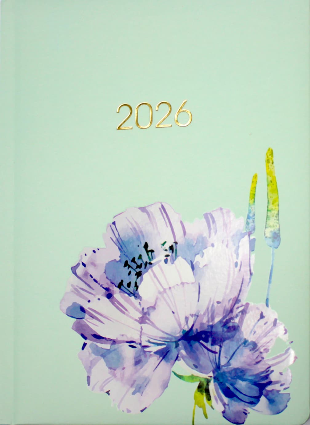 Щоден. А5 "Economix" дат2026 №E21852(20)