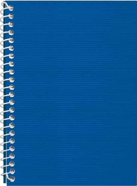 Блокнот пруж. бок. А5 48арк. кліт. пласт. обкл.,синій №E20302-02/Economix/(1)(80)