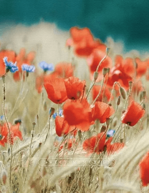Фотоальбом "UFO" №PP-46200 10х15х200 Poppies