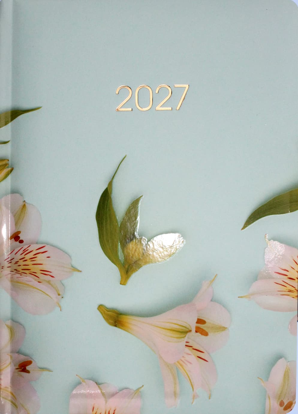 Щоден. А5 "Economix" дат2027 №E21898(20)