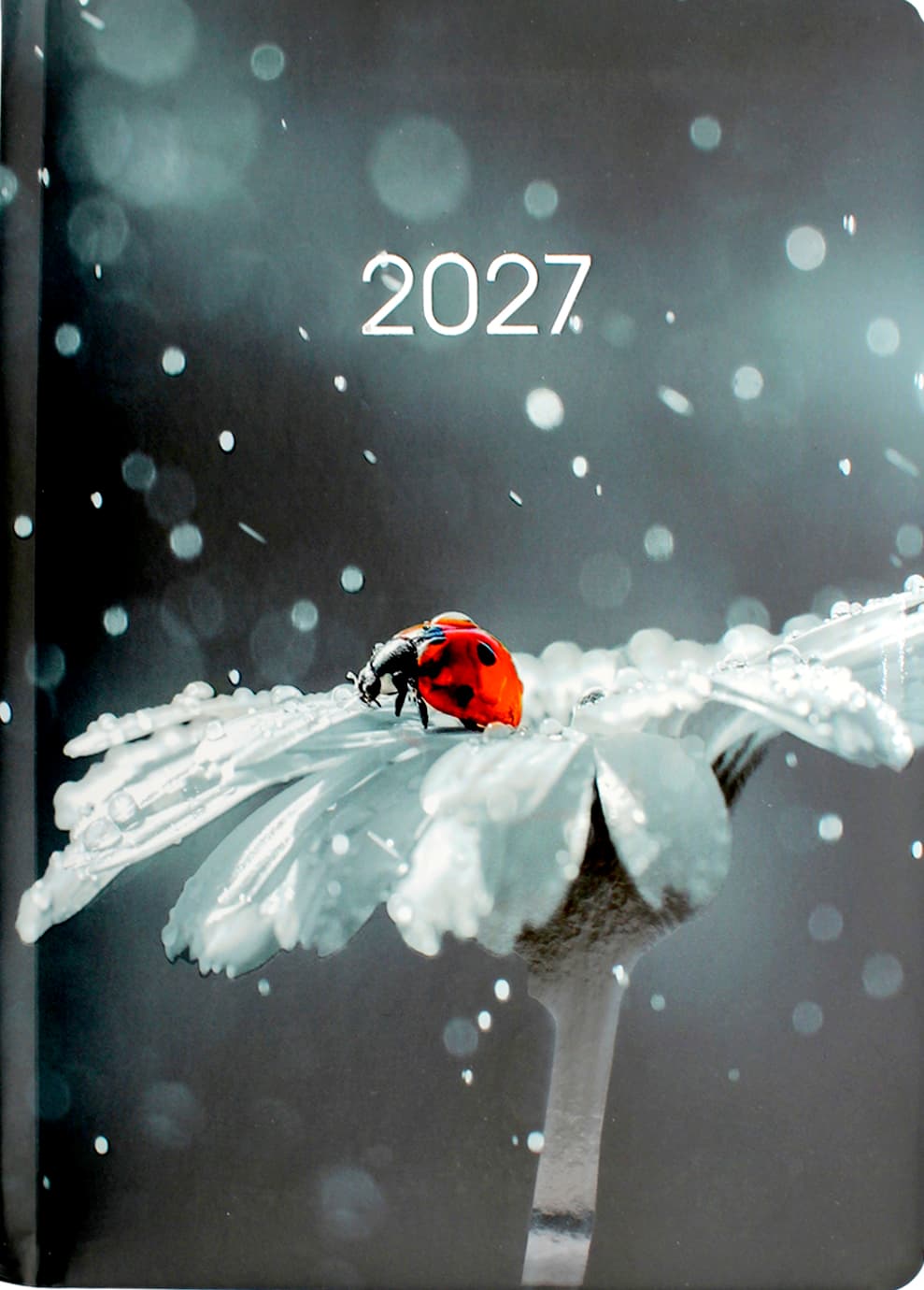 Щоден. А5 "Economix" дат2027 №E21899(20)